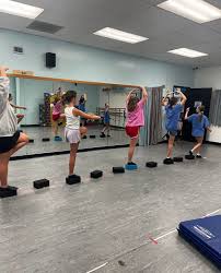 Image result for Milford Sequence Dance Club