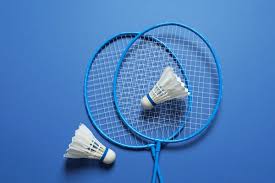 Image result for Ascot Badminton Club