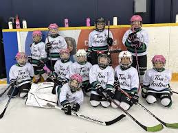 Image result for Mid Surrey Ladies Hockey Club