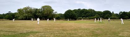 Image result for Effingham Cricket Club