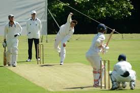 Image result for Luctonians Cricket Club