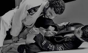 Image result for Unity School Of Jiu Jitsu