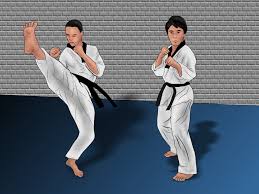 Image result for COMBAT TAEKWONDO
