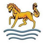 Image result for Horsforth Cc