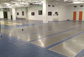Image result for Custodians Fencing Club