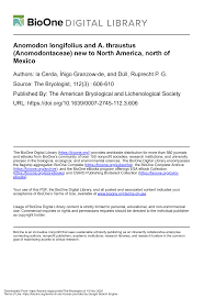 Attēlu rezultāti vaicājumam “Anomodon longifolius”