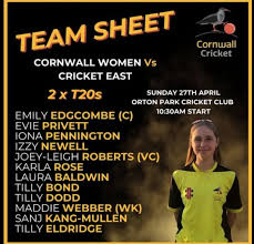 Image result for Ivybridge Cricket Club