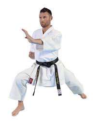 Image result for Uwe Karate Club