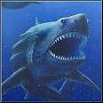 Shark Attacks