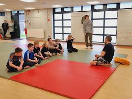 Image result for Kicking Dragon Kung Fu School, Belfast