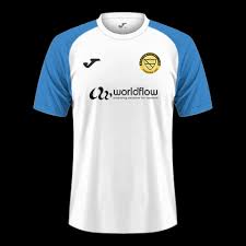 Image result for Merstham Football & Social Club