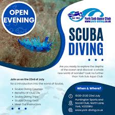 Image result for York University Sub Aqua Club