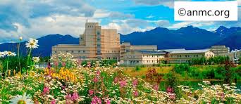 Image result for xbmc alaska