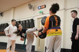 Image result for Kidderminster Tae Kwon Do Tigers