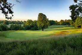 Image result for Betchworth Park Golf Club