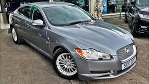 Image result for Silver Fox 2008 Jaguar