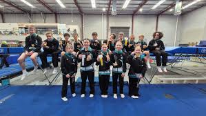 Image result for Hull High Flyers Gymnastics Club