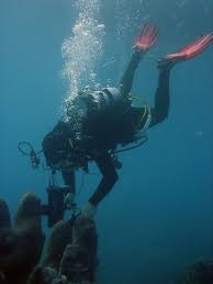 Image result for Bedford Scuba Divers