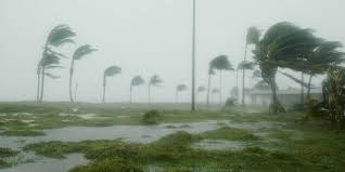 Image result for Hurricanes