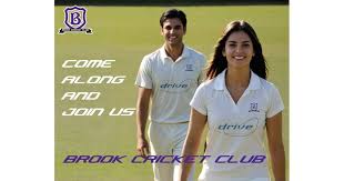 Image result for Lynchmere Cricket Club