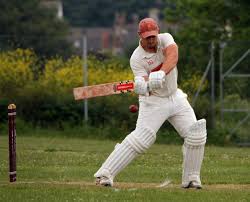 Image result for Portland Red Triangle Cricket Club