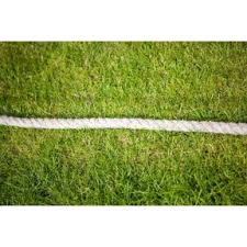 Image result for Merrow Cricket Club