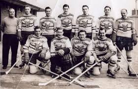 Image result for Haringey Greyhounds Ice Hockey Club