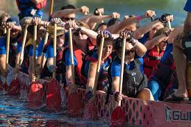 Image result for Wam Dragon Boat Racing Team