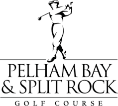 Image result for Pelham Korfball Club