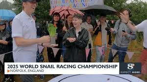Image result for World Snail Racing Championships