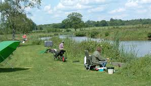 Image result for Guildford Angling Society