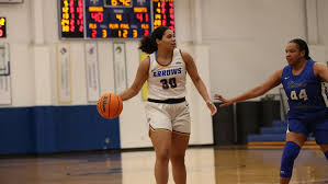 Image result for Arrows Basketball Club