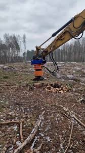 Image result for dipperfox tehron