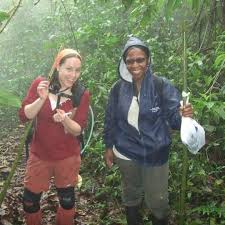 Attēlu rezultāti vaicājumam “Leiocolea rutheana”