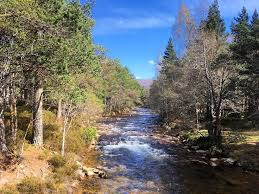 Image result for The Cairngorm Club