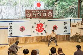 Image result for Hertfordshire Iga Ryu Ninjutsu