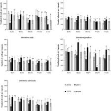 Attēlu rezultāti vaicājumam “Oenothera rubricauli flower”