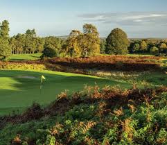 Image result for Carlow Golf Club