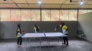 Image result for Skillcentre Badminton Club