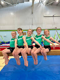 Image result for Wiltshire School Of Gymnastics