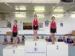 Image result for Swallows Of Helston Gym Club