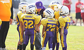 Image result for Eaton Eagles Badminton Club