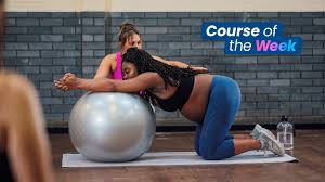 Image result for Postnatal Exercise Course