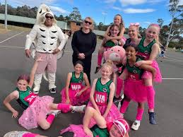 Image result for Newdigate Netball Club