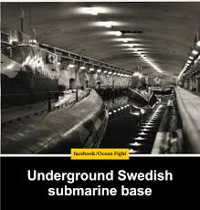 Image result for Musko underground naval base