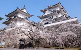 Image result for Hertfordshire Iga Ryu Ninjutsu