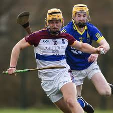 Image result for University Of Limerick Gaa Hurling Club