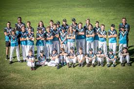 Image result for Epsom Junior Cricket Club