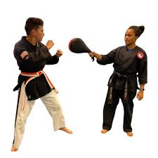 Image result for Bodyfit Martial Arts