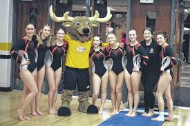 Image result for Sankey Springers Gymnastics Club